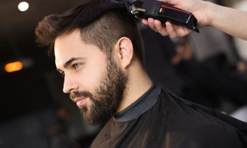 360_F_506743235_coW6QAlhxlBWjnRk0VNsHqaXGGH9F4JS